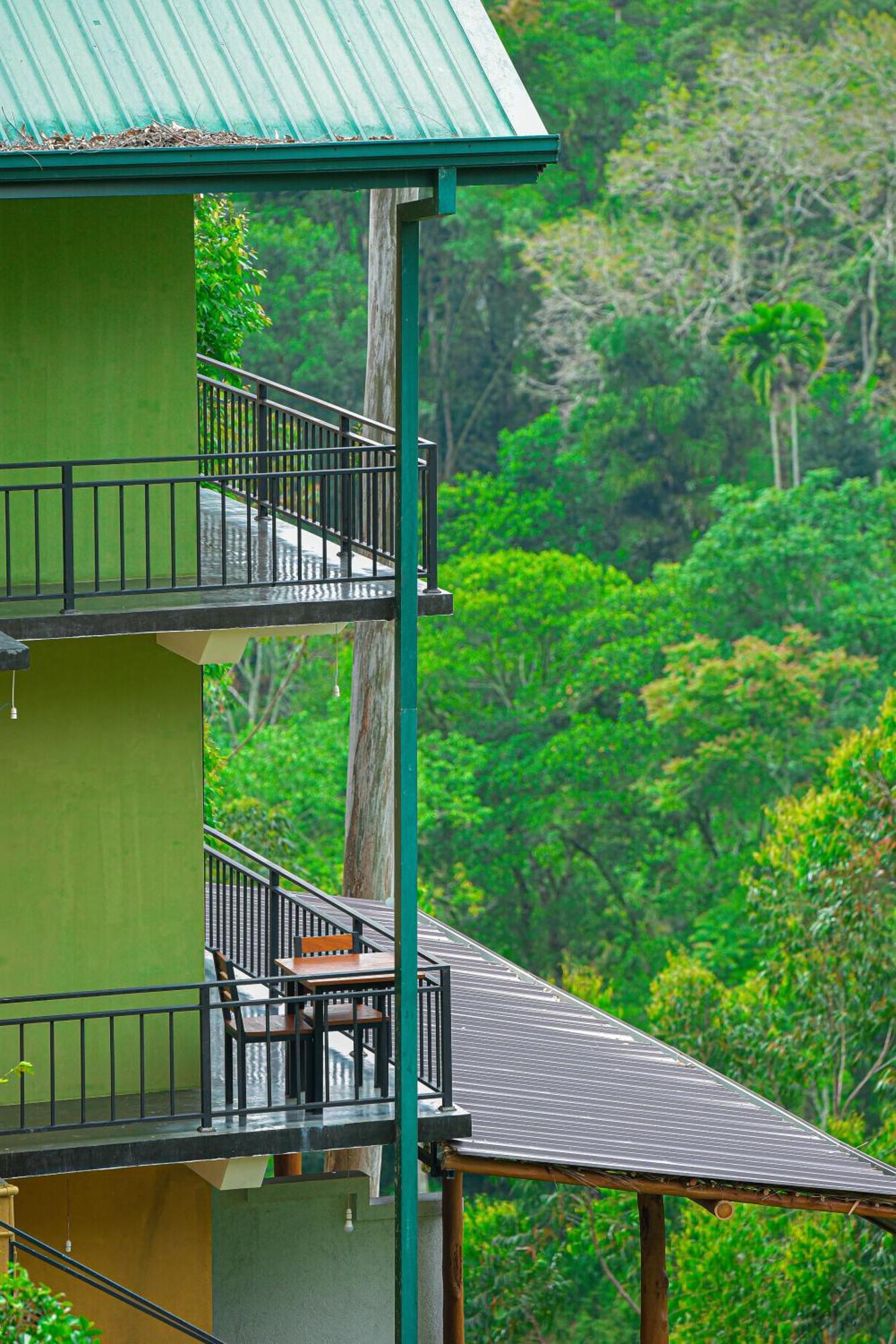 Hotel Tea Hills Ella Extérieur photo